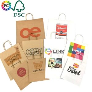 Kraftpapieren tas Fullcolor gedraaid hengsel Budget